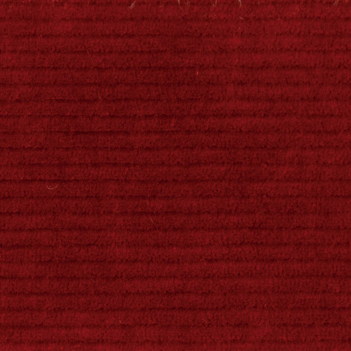 KNIT CORDUROY CAYENNE VELLUTO COSTE