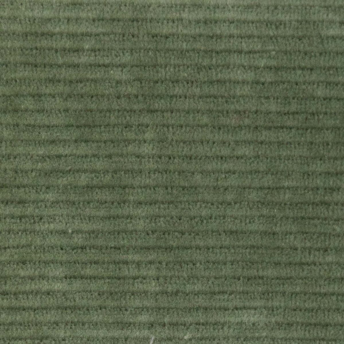 KNIT CORDUROY KAKI VELLUTO COSTE